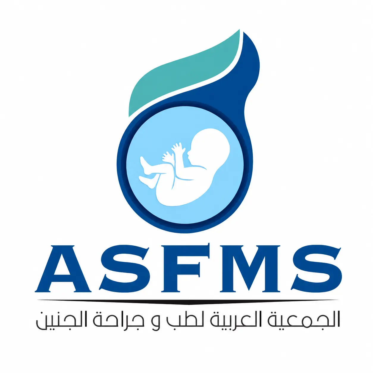 Dr. Doaa Khalifa teaching fetal imaging to doctors